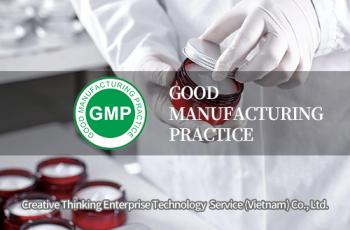 GMP认证 